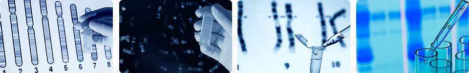 Cosmeceutical skin care products